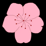 WWW,214se·COM网站APP