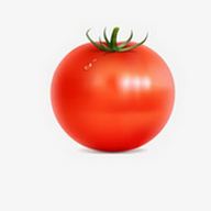 好色TV下载APP应用